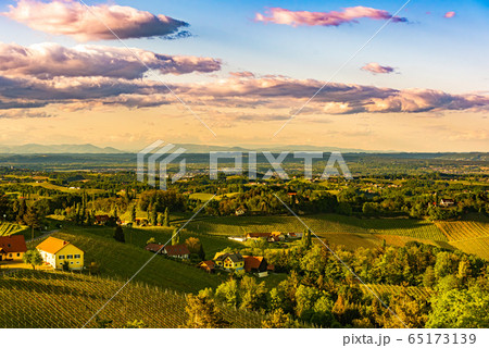 South styria vineyards landscape, near Gamlitz, South styria vineyards landscape, near Gamlitz, 65173139