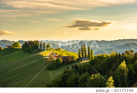 South styria vineyards landscape, near Gamlitz, 65173140