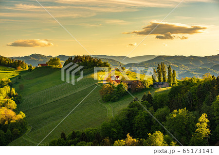 South styria vineyards landscape, near Gamlitz, 65173141