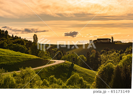 South styria vineyards landscape, near Gamlitz, 65173149