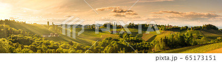 Panorama of vineyards hills in south Styria, Panorama of vineyards hills in south Styria, 65173151