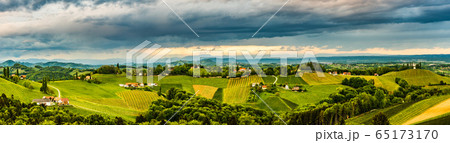Panorama of vineyards hills in south Styria, 65173170