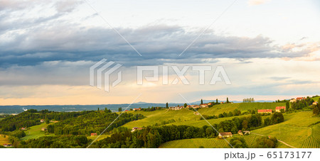 Panorama of vineyards hills in south Styria, 65173177