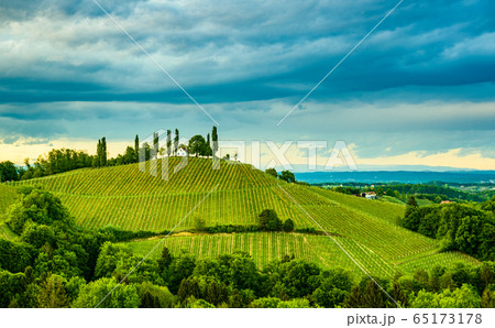South styria vineyards landscape, near Gamlitz, 65173178