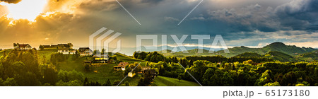 Panorama of vineyards hills in south Styria, 65173180