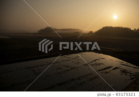 霧の夜明けの田園風景　風景　霧　田園　日本　太陽　日の出 65173321