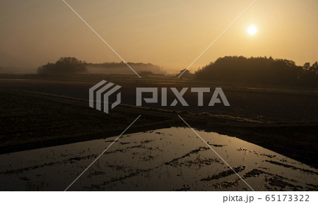 霧の夜明けの田園風景　風景　霧　田園　日本　太陽　日の出 65173322
