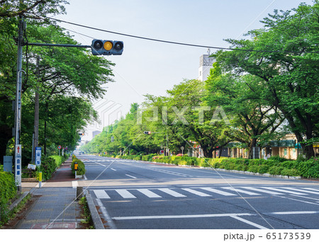 東京　国立市　大学通り 65173539