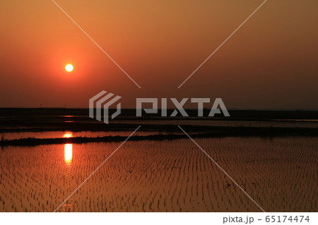 田園風景　夕日　夕焼け　田んぼ　水田 65174474