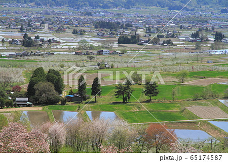 安曇野の5月 田植えのころ 安曇野の5月 田植えのころ 65174587