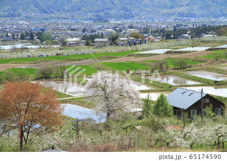 安曇野の5月　田植えのころ 65174590