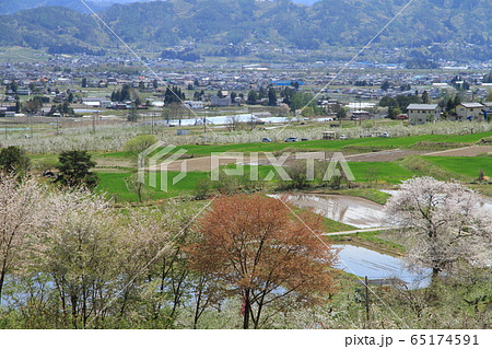 安曇野の5月　田植えのころ 65174591
