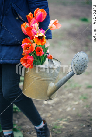 girl works in the garden girl works in the garden 65175243