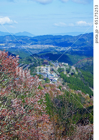 吉野山　花矢倉展望台　千本桜 65175253