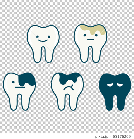 歯　表情つき 65176209