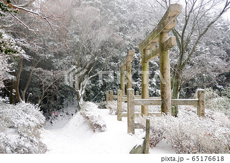 高野山町石道　二つ鳥居 65176618