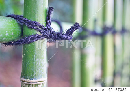 施工後間もない美しい四ツ目垣 65177085