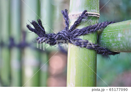 施工後間もない美しい四ツ目垣 65177090