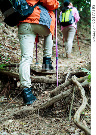 登山 女性 山ガール トレッキング 友達 山登り 山 アウトドア ハイキングの写真素材