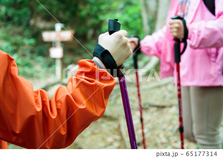 登山 女性 山ガール トレッキング 山登り 山 アウトドア ハイキング 登山 女性 山ガール トレッキング 山登り 山 アウトドア ハイキング 65177314