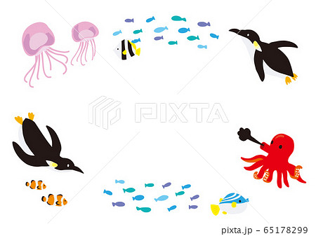 海のいきもの　背景イラスト 65178299