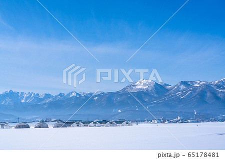 《北海道》中富良野町・北海道の雪景色 65178481