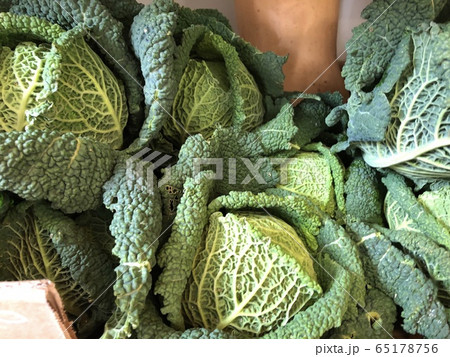 イタリアンキャベツ@Pisa 65178756