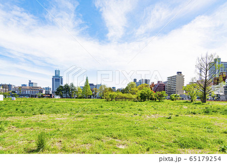 都市の空き地（仙台市） 65179254