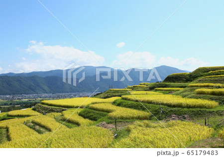 信州 姨捨の棚田 信州 姨捨の棚田 65179483
