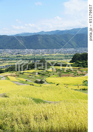 信州 姨捨の棚田 信州 姨捨の棚田 65179607