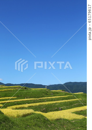 信州 姨捨の棚田 信州 姨捨の棚田 65179617