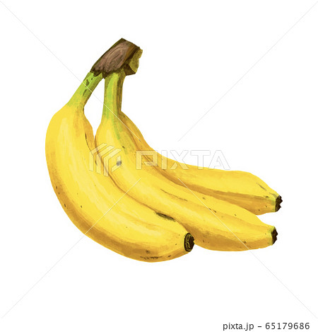 リアルタッチのバナナのイラストのイラスト素材