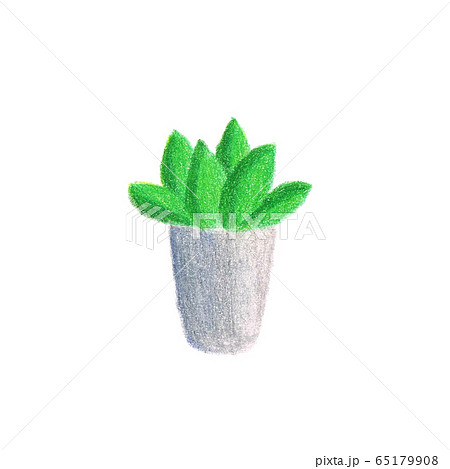 観葉植物 パーツ 色鉛筆画のイラスト素材