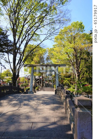 瀧宮神社　深谷総鎮守瀧宮神社　埼玉　深谷 65179917