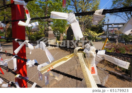 瀧宮神社　おみくじ　深谷総鎮守瀧宮神社　埼玉　深谷 65179923