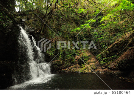 滝畑四十八滝　荒滝 65180464