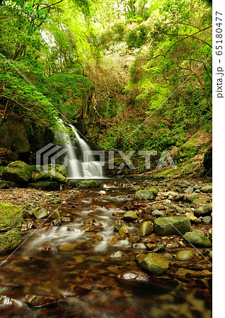 滝畑四十八滝　荒滝 65180477