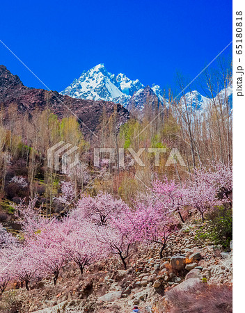 landscape view of Hunza Valley, Pakistan 65180818