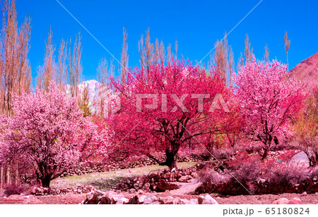 landscape view of Hunza Valley, Pakistan landscape view of Hunza Valley, Pakistan 65180824