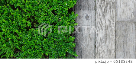 Details of the nature  65185248