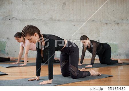 Group of women practicing dog pose. Group of women practicing dog pose. 65185482