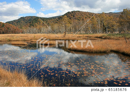 尾瀬ケ原の紅葉 尾瀬ケ原の紅葉 65185676