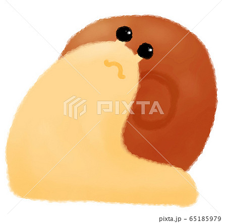 振り返るかたつむり（茶色） 65185979
