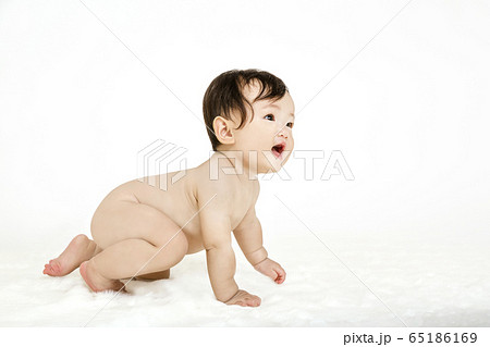 白背景の前でハイハイし笑顔で見上げる女の子の赤ちゃん 65186169