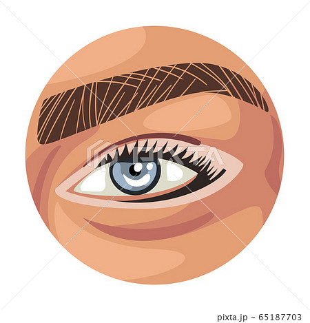 Female Light Blue Eye Eye in the Circle, Part of Human Face Vector Illustration on White Background Female Light Blue Eye Eye in the Circle, Part of Human Face Vector Illustration on White Background 65187703