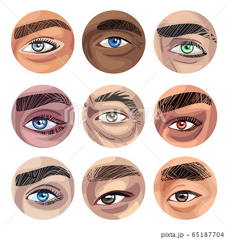 Human Eyes of Various Colors in Circles Collection, Part of Male or Female Faces Vector Illustration 65187704