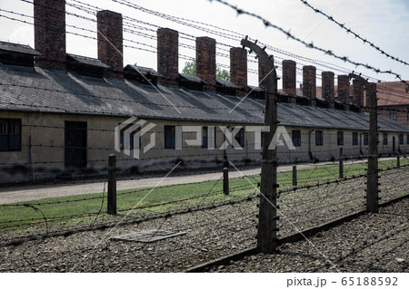 Electric barbed wire fence in Nazi Concentration Camp Auschwitz Electric barbed wire fence in Nazi Concentration Camp Auschwitz 65188592