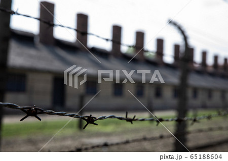 Closeup of barbed wire fence in Nazi Concentration Camp Auschwitz 65188604
