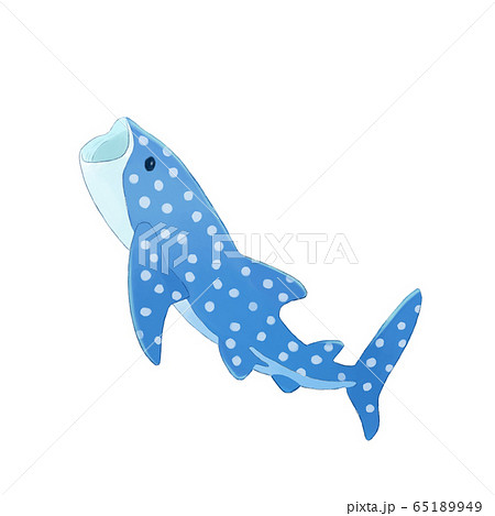 A Whale Shark That Opens Its Mouth Stock Illustration