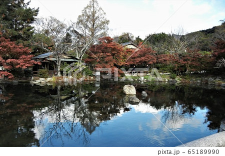 京都市東山の円山公園の紅葉 京都市東山の円山公園の紅葉 65189990